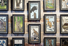 Original Hand-Colored Prints